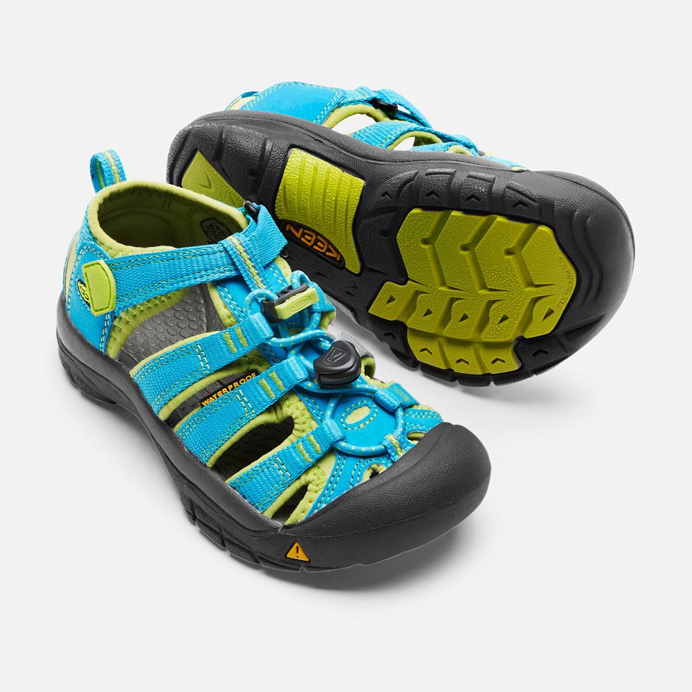 Keen Sandaal Kinderen Blauw/Groen - Newport H2 - 48065-UTEM